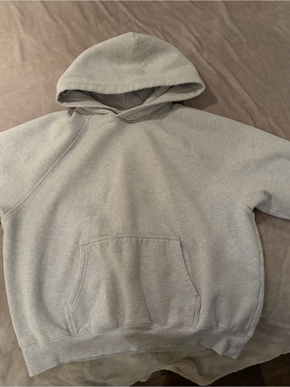 Aritzia Grey Hoodie